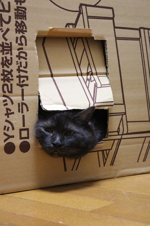 こんなとき_a0333195_00250932.jpg