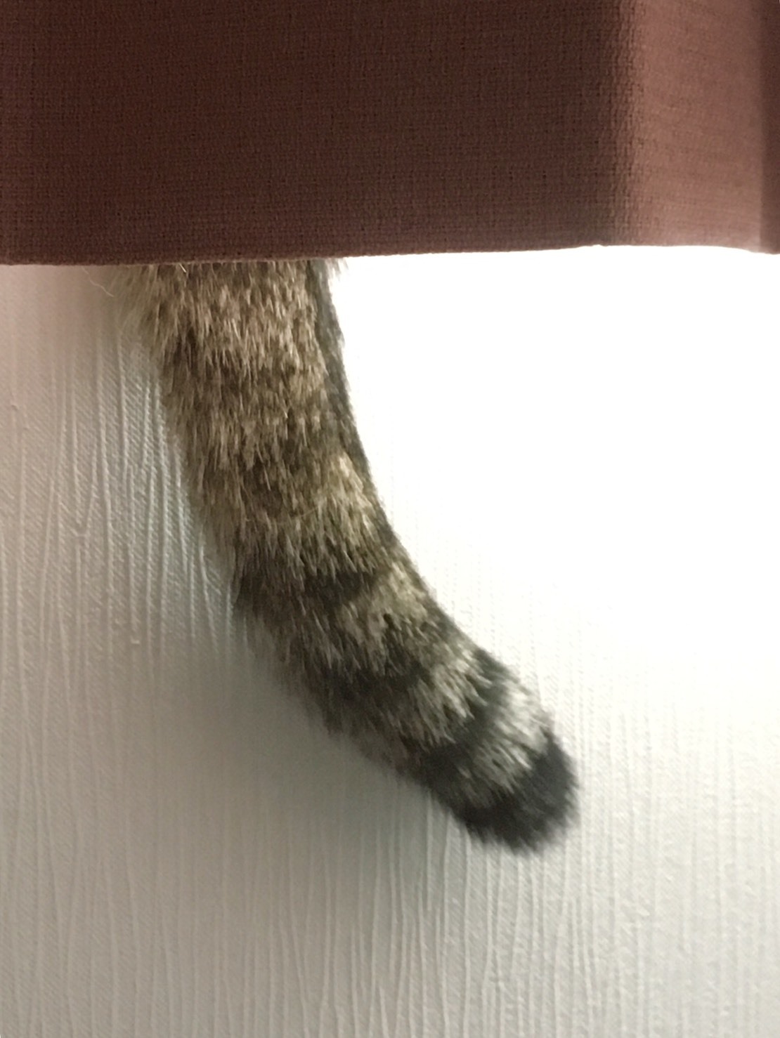 虎蔵の体重測定!_b0349795_08114003.jpg
