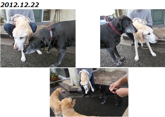 d0282395_22563250.png