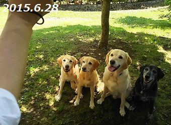 d0282395_22591050.png