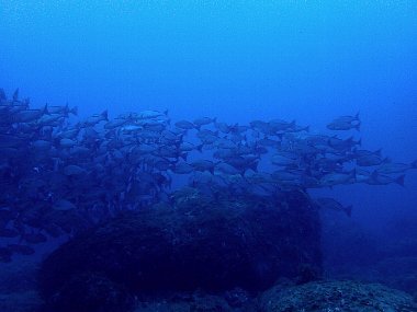 f0079996_15243820.jpg