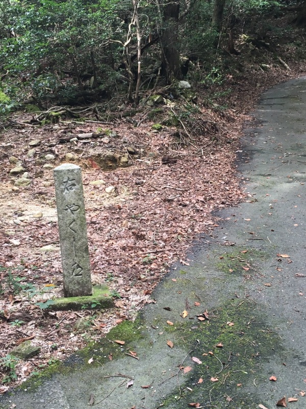 b0220002_23550373.jpeg
