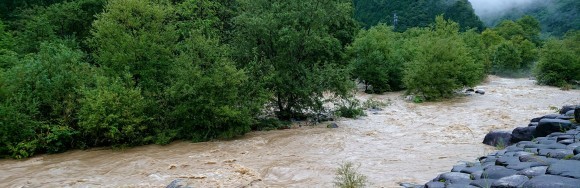 f0266202_21550022.jpg