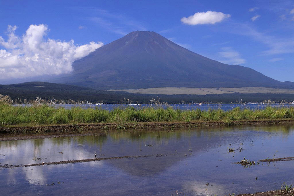 小さな秋を見つけた～③山中湖_a0188405_23052528.jpg