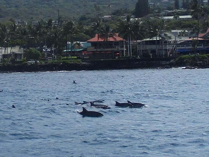 a0138609_19343046.jpg