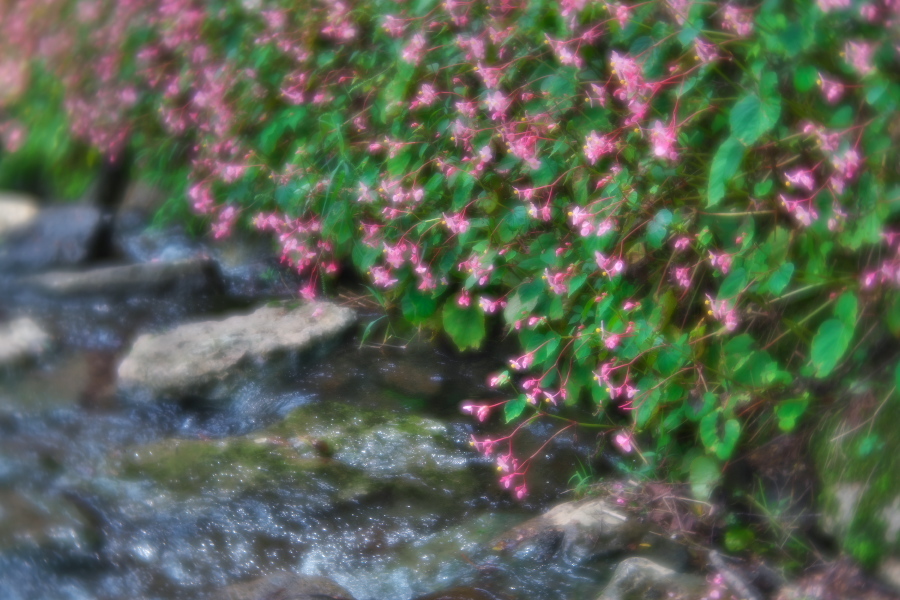 a0263109_07592993.jpg