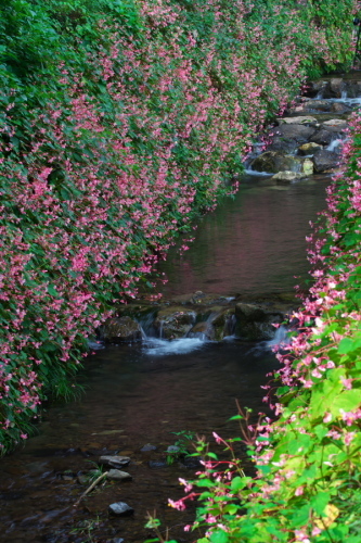 a0263109_07595690.jpg