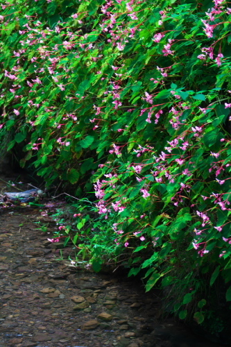 a0263109_08021243.jpg