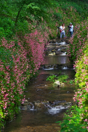 a0263109_08021345.jpg