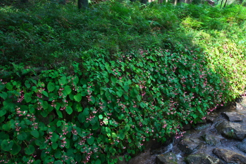 a0263109_08032490.jpg
