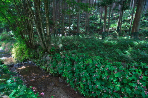 a0263109_08032567.jpg