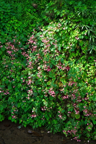 a0263109_08040315.jpg