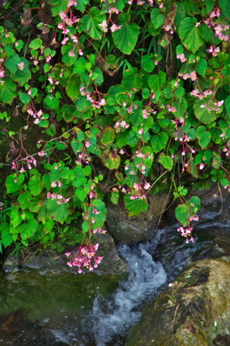 a0263109_08040444.jpg