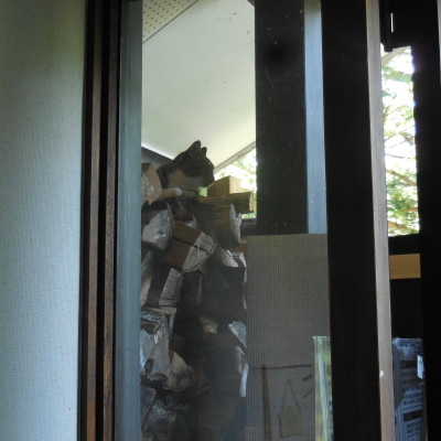 f0210811_10330959.jpg