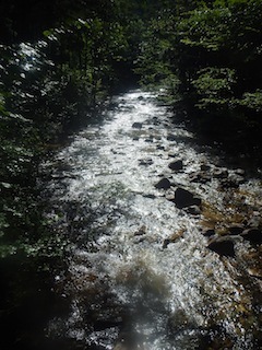 c0359615_12510601.jpg