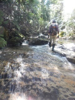 c0359615_12513004.jpg