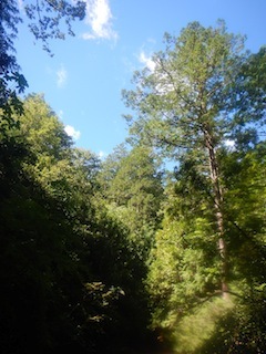 c0359615_12514057.jpg