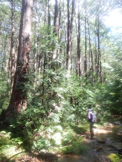 c0359615_12515520.jpg