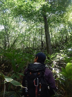 c0359615_12521366.jpg