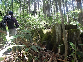 c0359615_12523324.jpg
