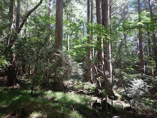 c0359615_12525745.jpg