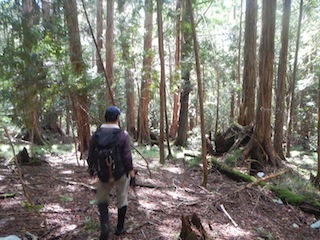 c0359615_12530793.jpg