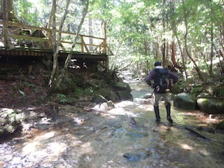 c0359615_12531367.jpg