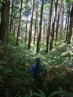 c0359615_12534615.jpg