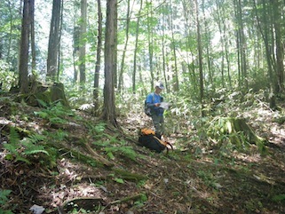 c0359615_12535288.jpg