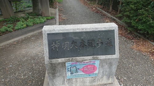 早朝ずぶ濡れサイクリングと早朝10kmラン_e0341417_10434626.jpg