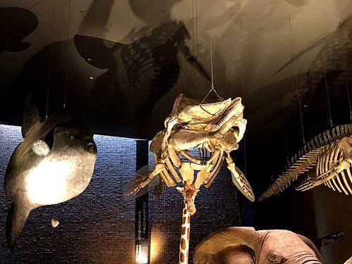 a0315918_18500645.jpg