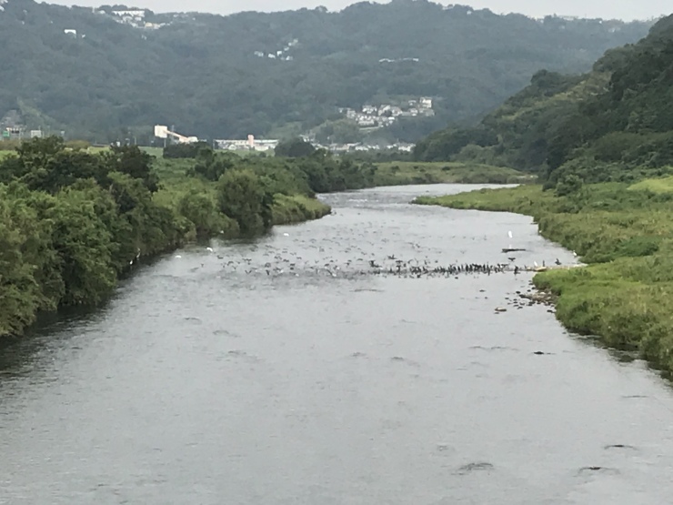 d0172227_07180535.jpeg