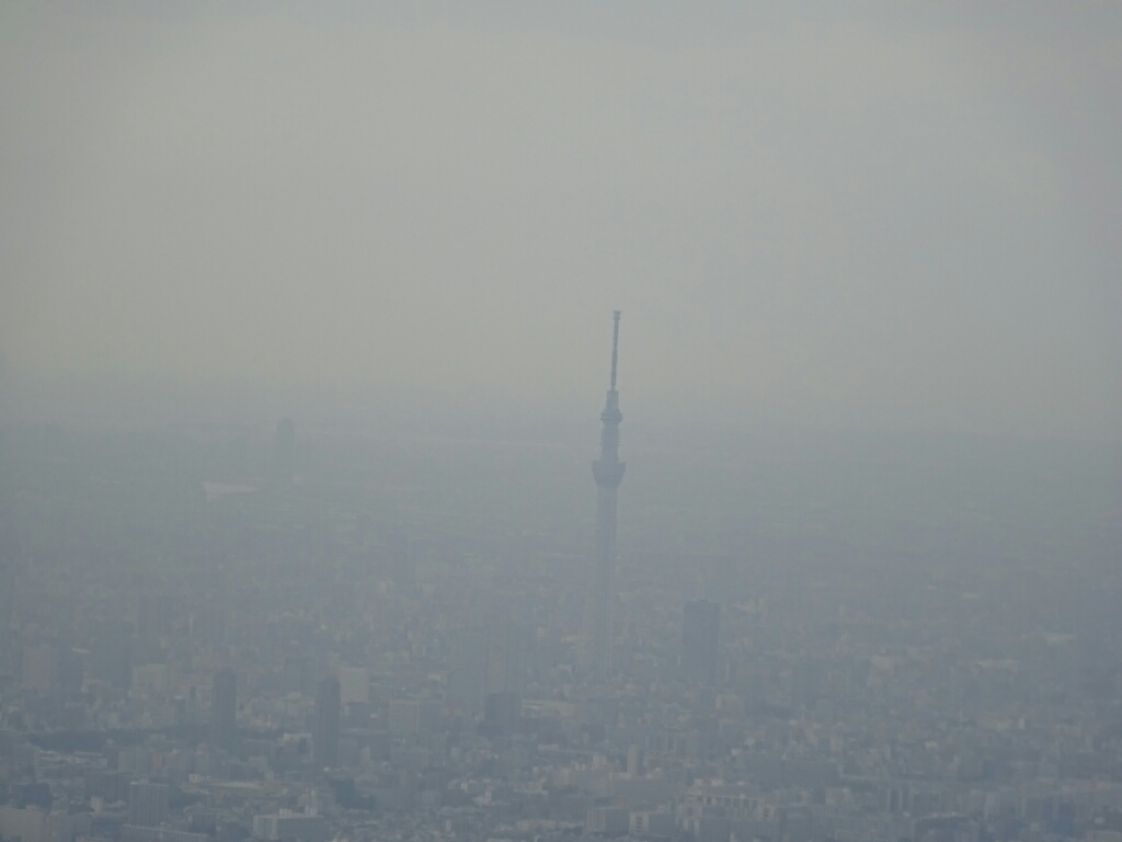 d0378837_14565934.jpg