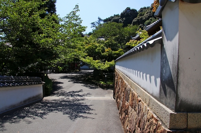 a0242438_17552856.jpg