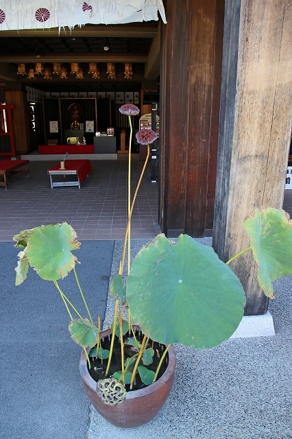 a0242438_17554245.jpg