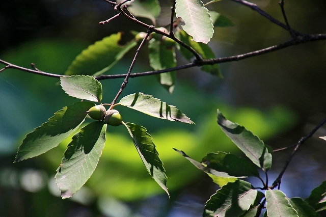 a0242438_17555101.jpg