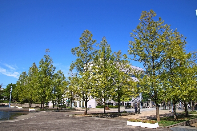 a0242438_17555239.jpg