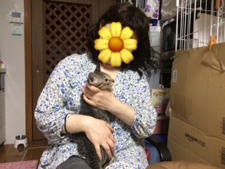 d0393041_22402399.jpeg