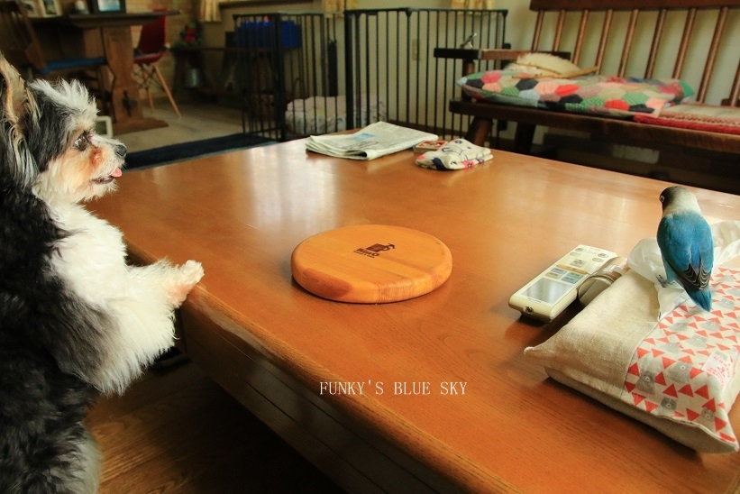 c0145250_09271445.jpg
