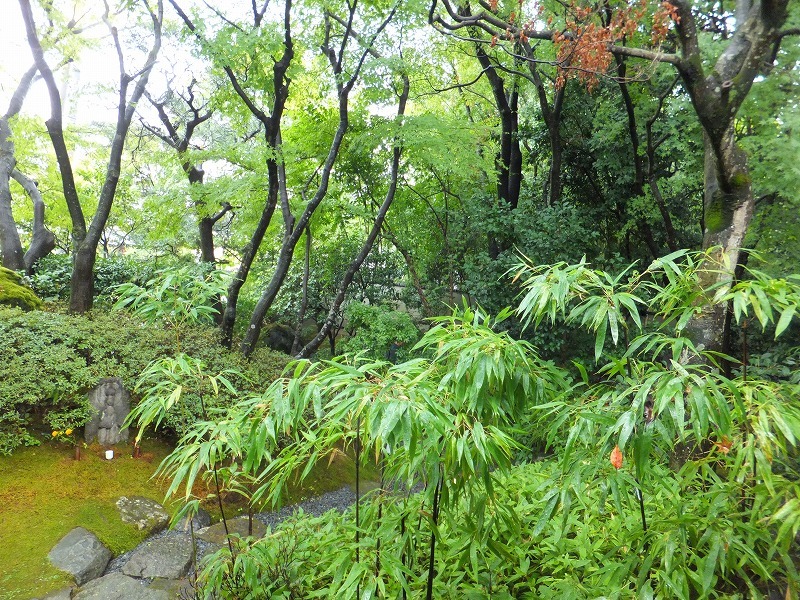 d0048350_17210022.jpg
