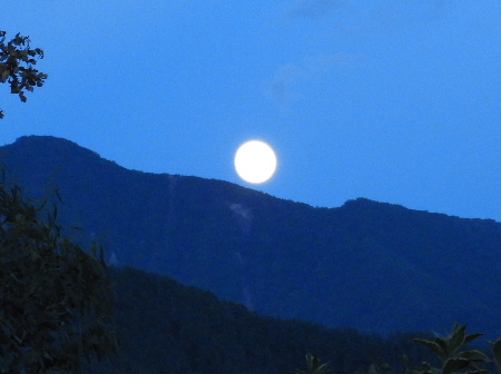 e0172950_19313394.jpg