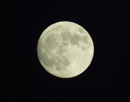 e0172950_19314491.jpg
