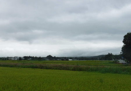 朝から雨_e0172950_20574870.jpg