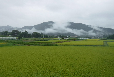 朝から雨_e0172950_20581236.jpg