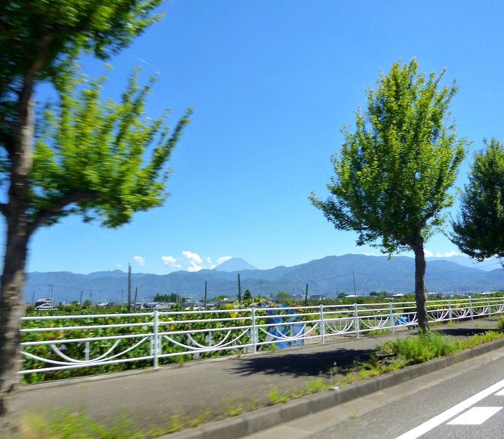 甲府でお昼はジンギスカン_c0294553_14552960.jpg