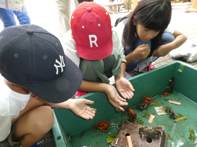 「カニカニウオッチング」in「第6回せんなん里海さくらフェス」・・・うみべの森_c0108460_20541464.jpg