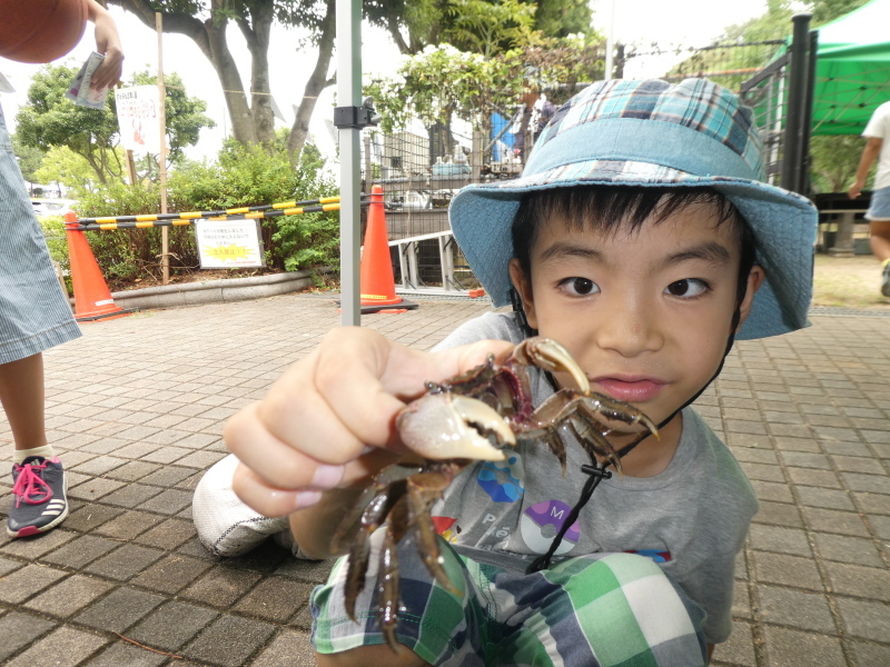「カニカニウオッチング」in「第6回せんなん里海さくらフェス」・・・うみべの森_c0108460_21000070.jpg