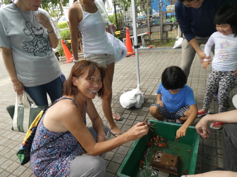 「カニカニウオッチング」in「第6回せんなん里海さくらフェス」・・・うみべの森_c0108460_21111120.jpg