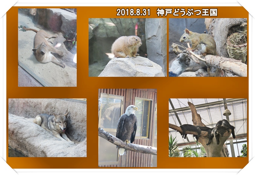 a0052666_1412317.jpg