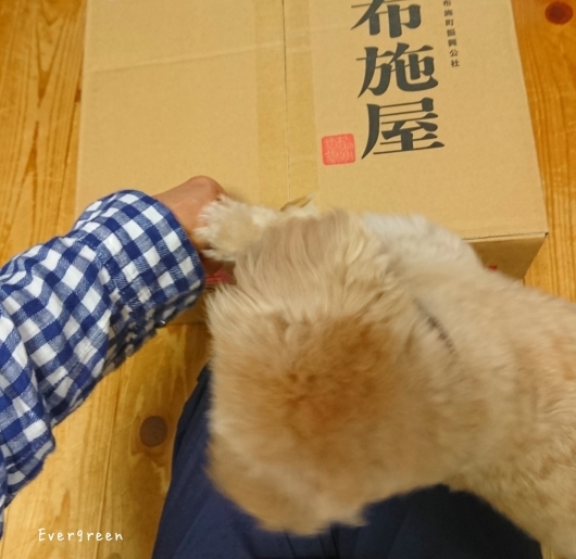 9/1(土) 青りんご。_d0362666_18275944.jpg